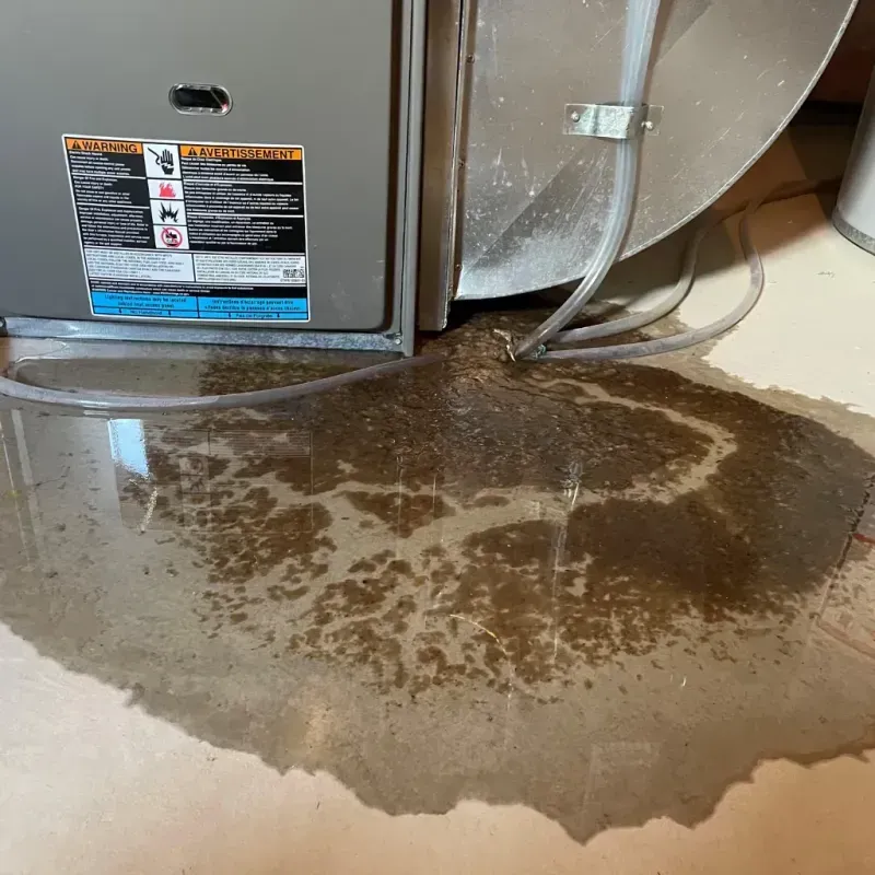 Appliance Leak Cleanup in Potomac Heights, MD